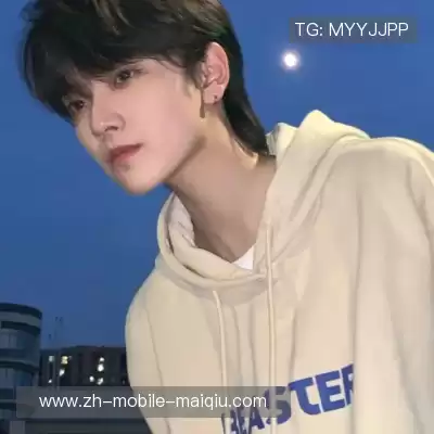 凤鲁庄
